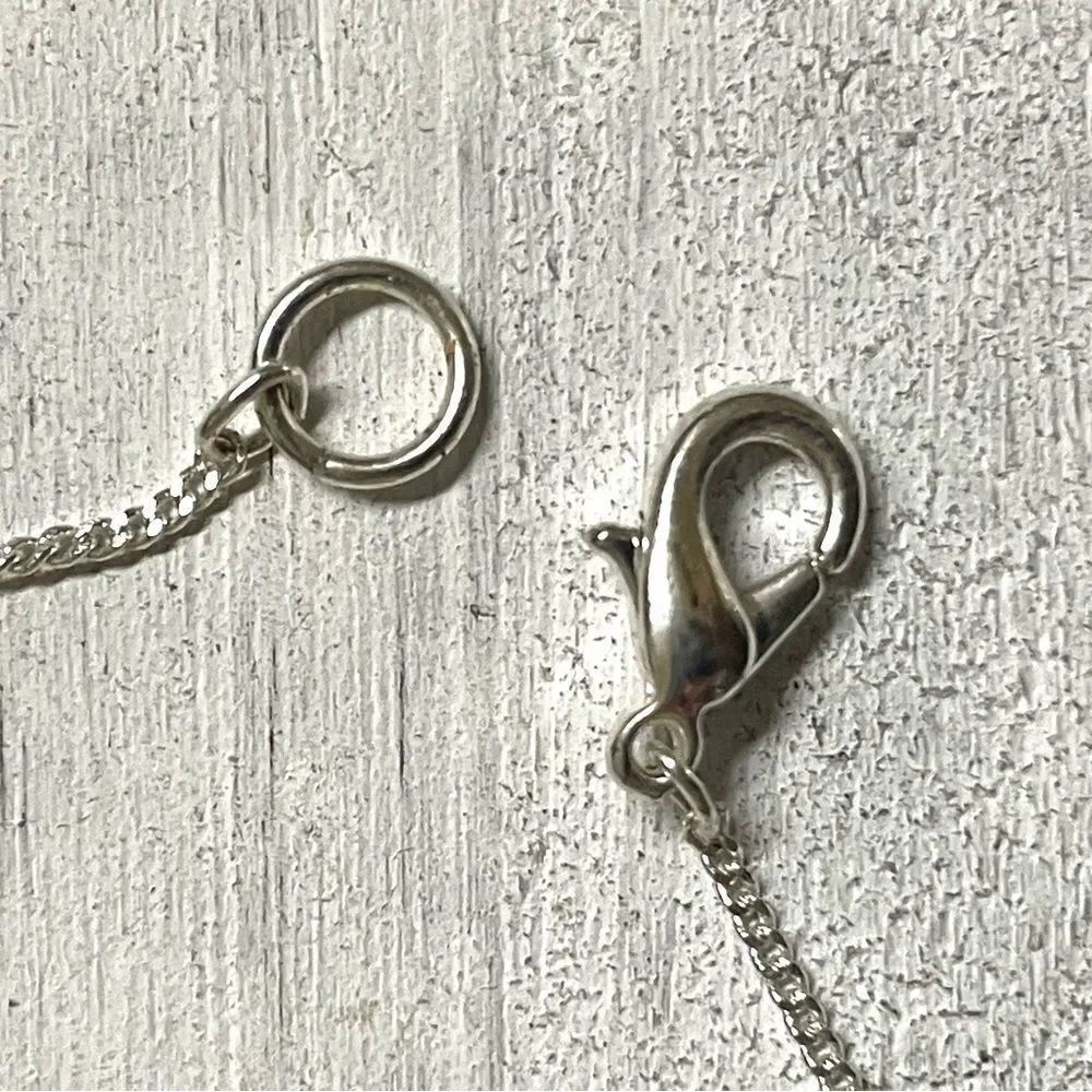Sonoma Jean company silver tone necklace and earring set